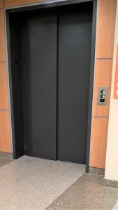 WP_20180503_10_48_40_Pro_LI