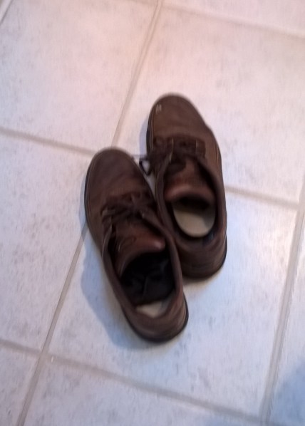 WP_20180529_17_39_19_Pro_LI