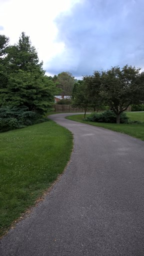 WP_20180529_17_43_38_Pro_LI