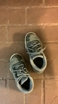 WP_20180531_10_21_14_Pro_LI