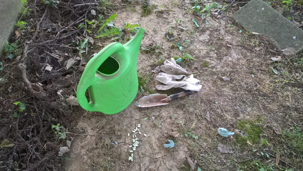 WP_20180619_16_22_28_Pro_LI