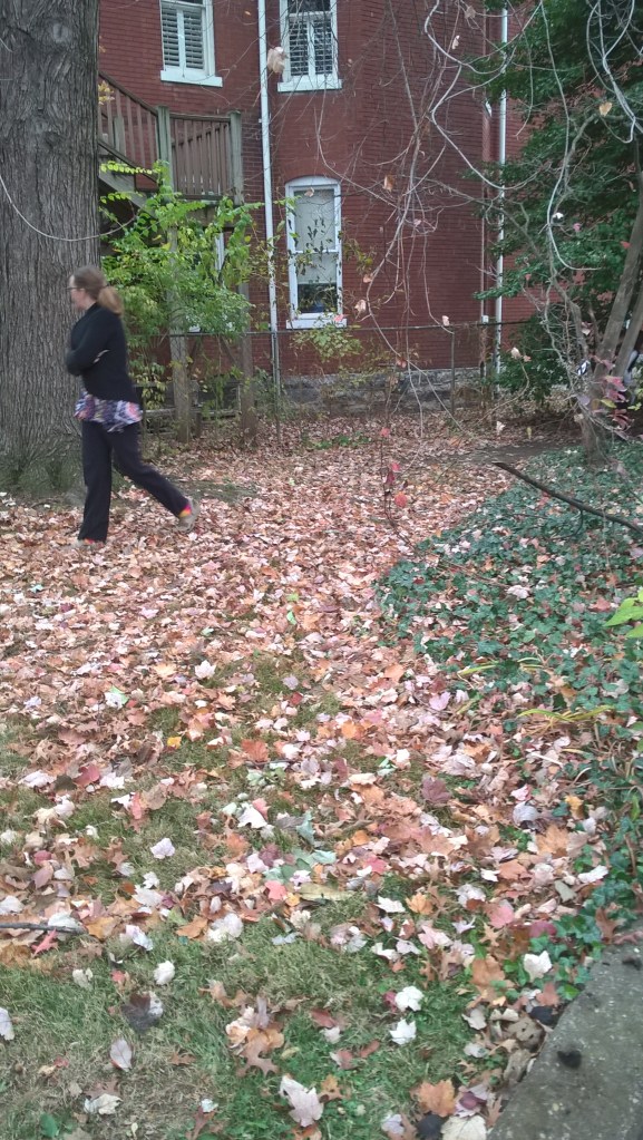 Keep looking for those Turkeys! (Don't let on when you see one. Just mark it down on your paper.)