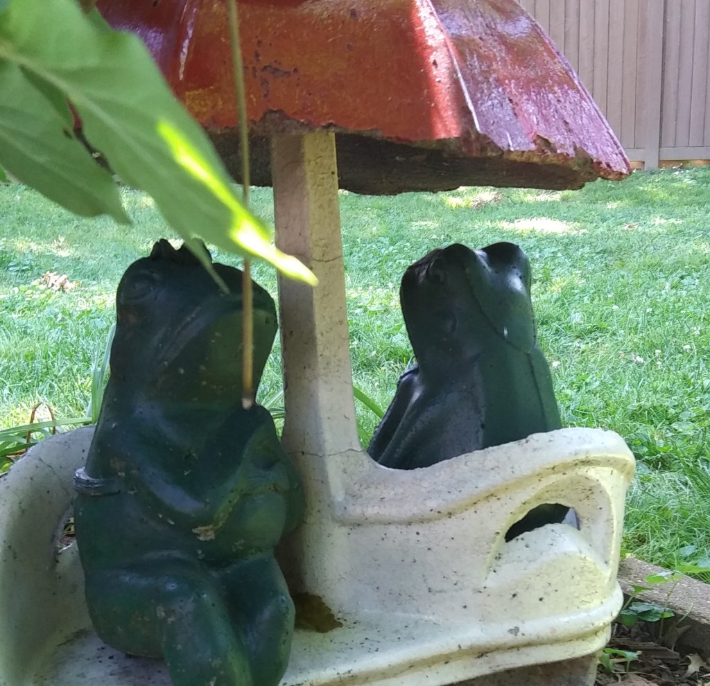 Nonny's Garden frogs enjoy the scenery