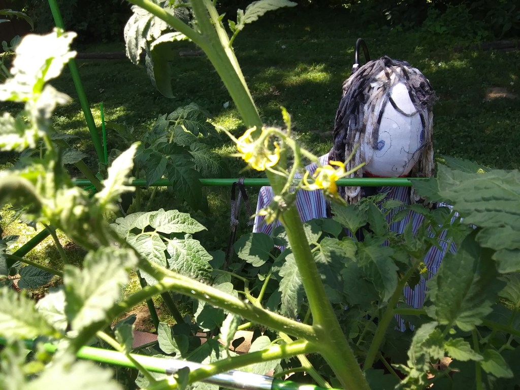 A frightful-looking Ms. Scarecrow to guard the garden from the neighborhood bunny