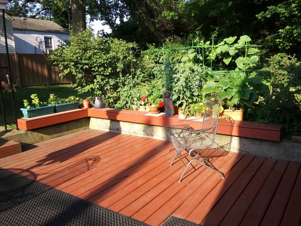 Nonny's Garden this morning (June 19) - Have a great day!